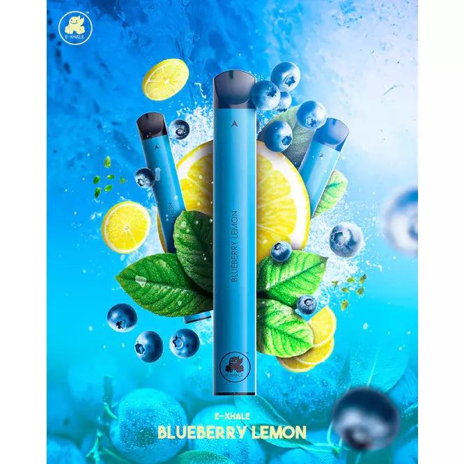 E-Xhale 900 Puffs - Blueberry Lemon - 5%